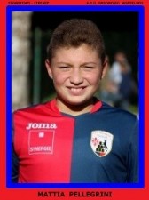 PELLEGRINI MATTIA