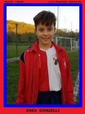 DONZELLI ENEA